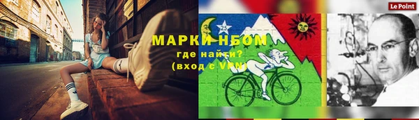 шишки Богородицк