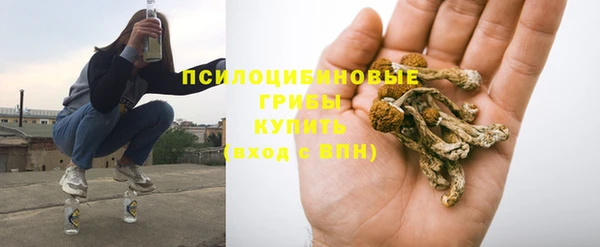 соль ск Богородск