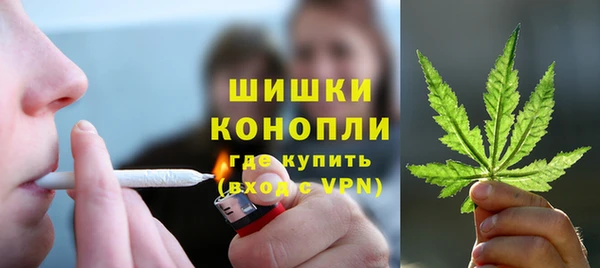 шишки Богородицк