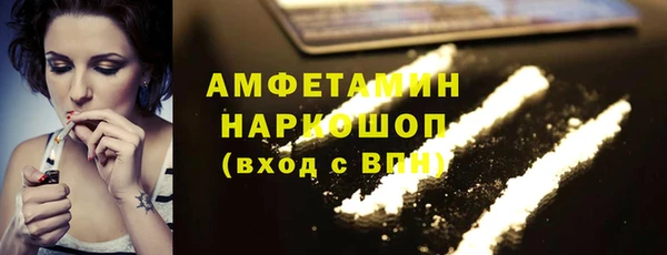 шишки Богородицк