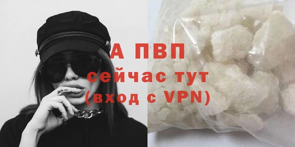соль ск Богданович