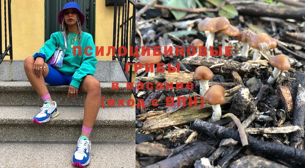 соль ск Богданович