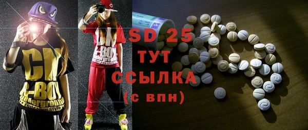 шишки Богородицк