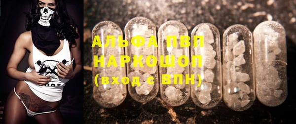 шишки Богородицк